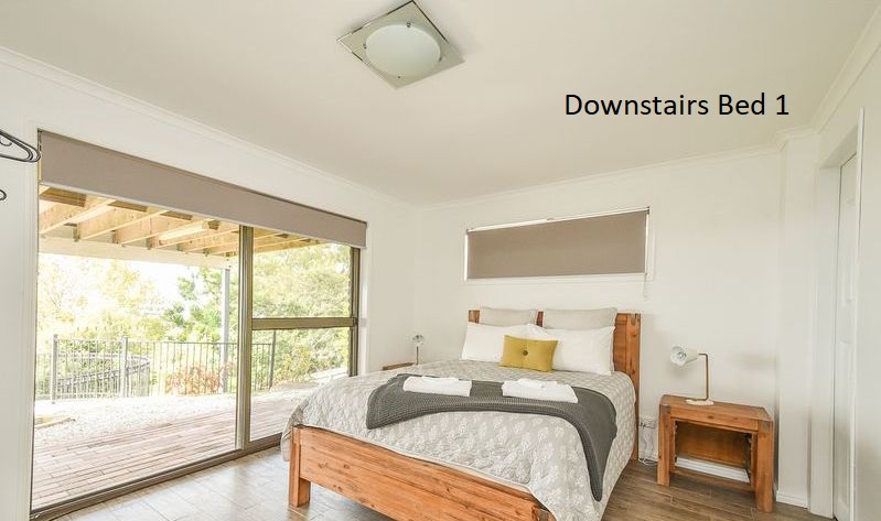 19 Downstairs Bed 1